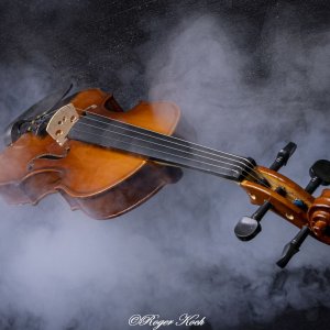 Violine