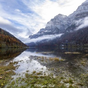 Natur + Landschaft